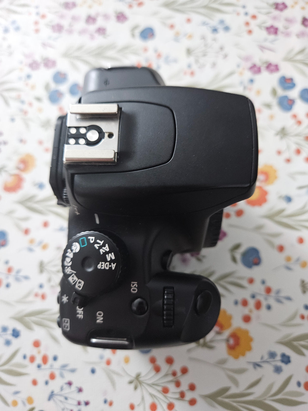 CanonEOS 1000Dd8fee0da-6e76-45ed-b96a-03ac4e509825