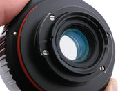Vue 5