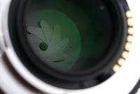 Vue 4