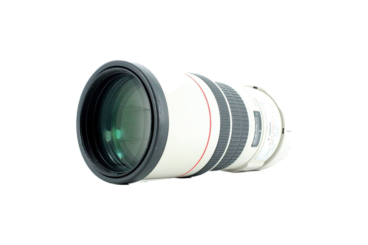 Canon EF 300mm f/4 L IS USM