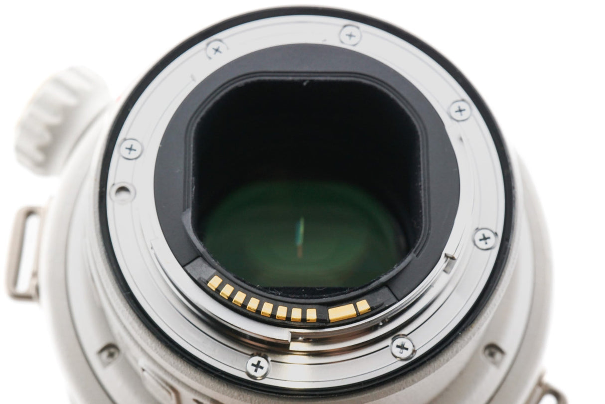 Canon 300mm f2.8 L IS USM II