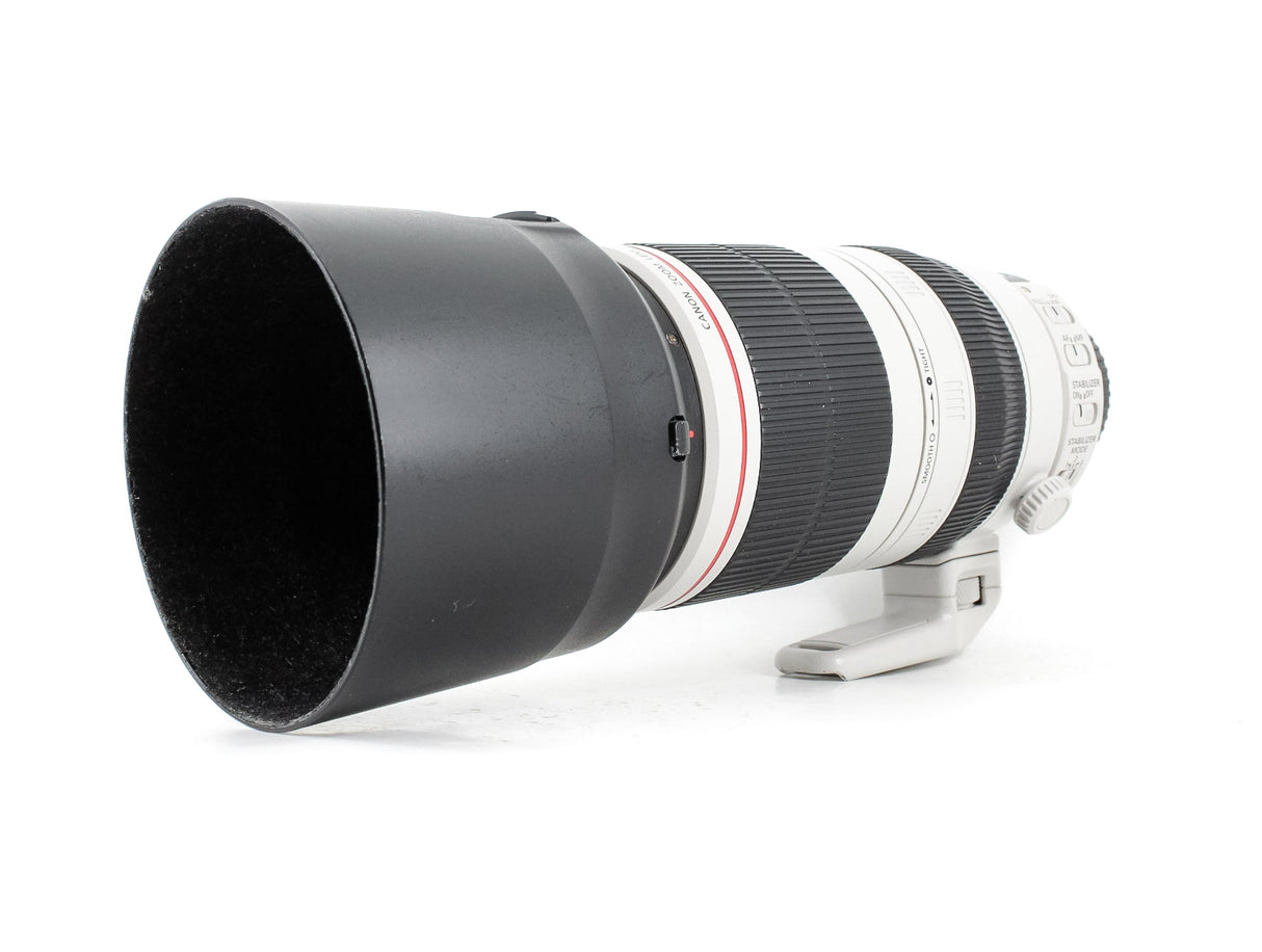 Canon EF 100-400mm f/4.5-5.6 L IS II USM