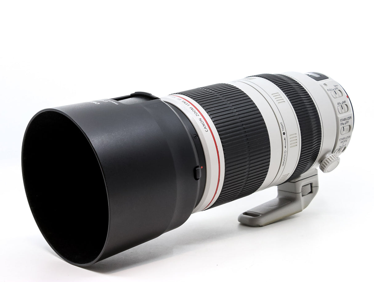 Canon EF 100-400mm f/4.5-5.6 L IS II USM