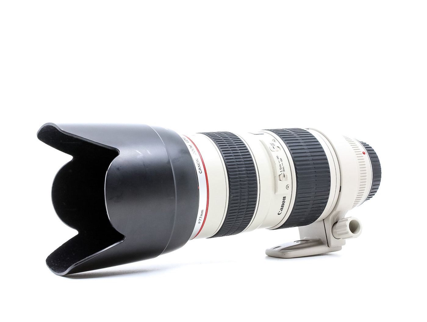 Canon EF 70-200mm f/2.8 L USM · immagine principale