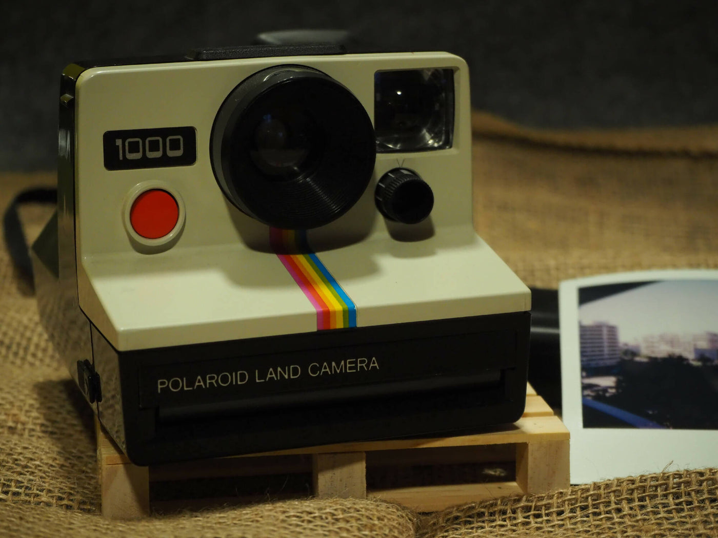 Polaroid Land Camera 1000 · image principale